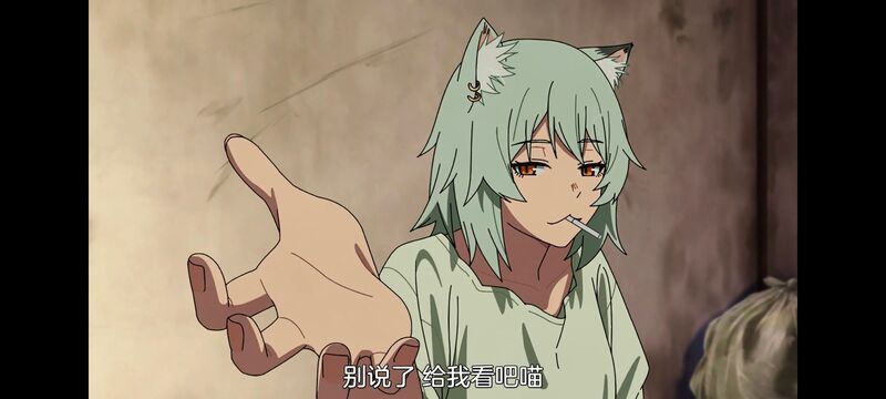 尼古喵喵,雅尼猫,动画,动漫,番剧,二次元,日漫,ACG