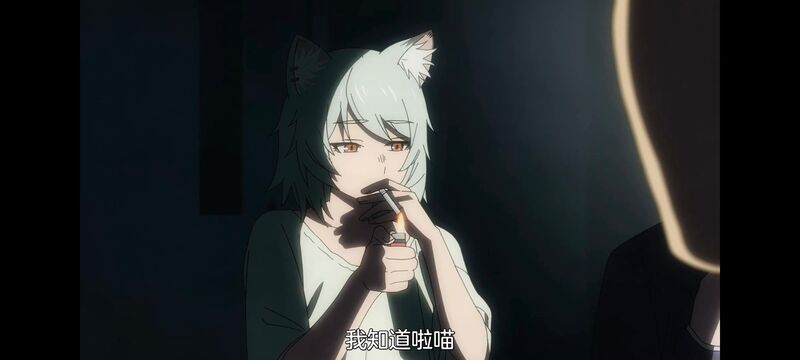 雅尼猫,尼古喵喵,动画,动漫,番剧,二次元,日漫,ACG