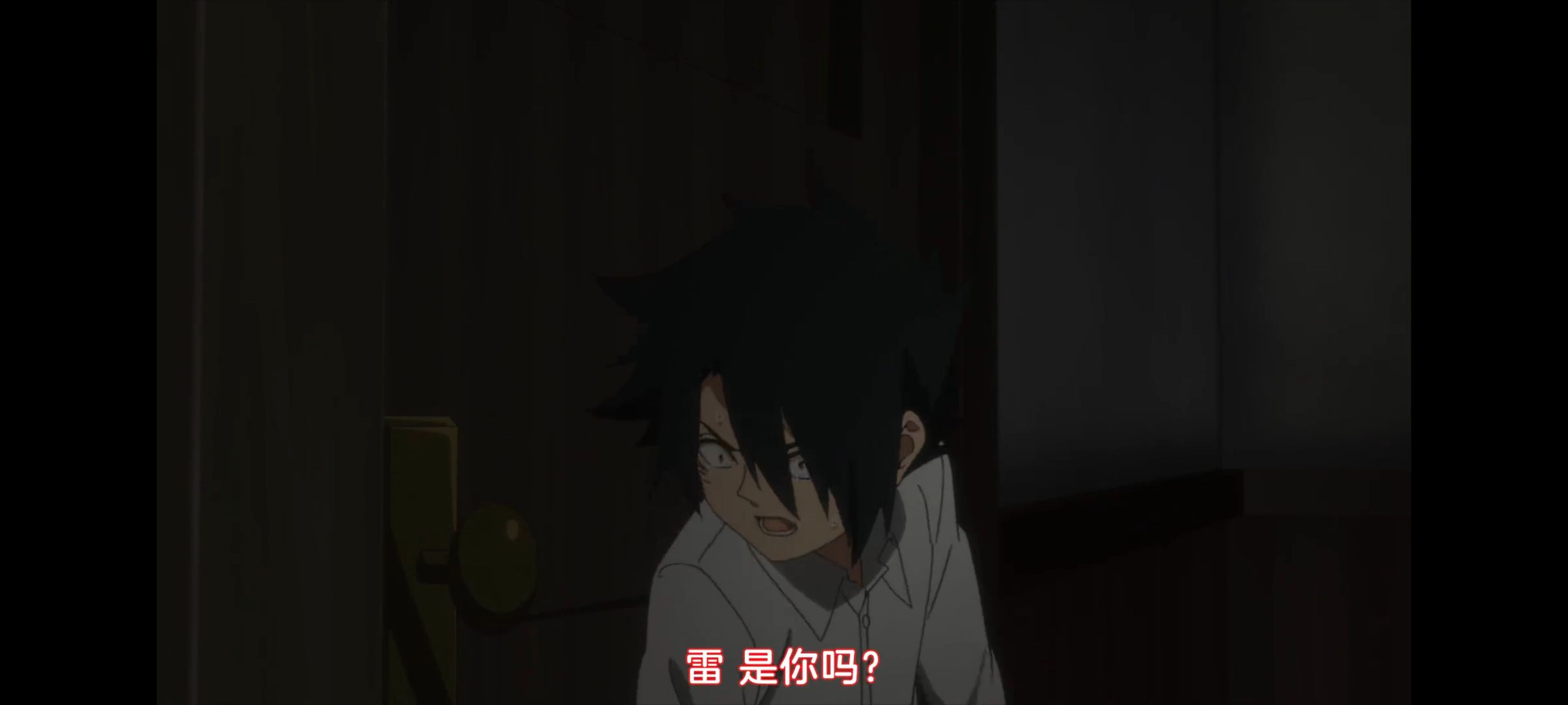 约定的梦幻岛,动画,动漫,番剧,二次元,ACG