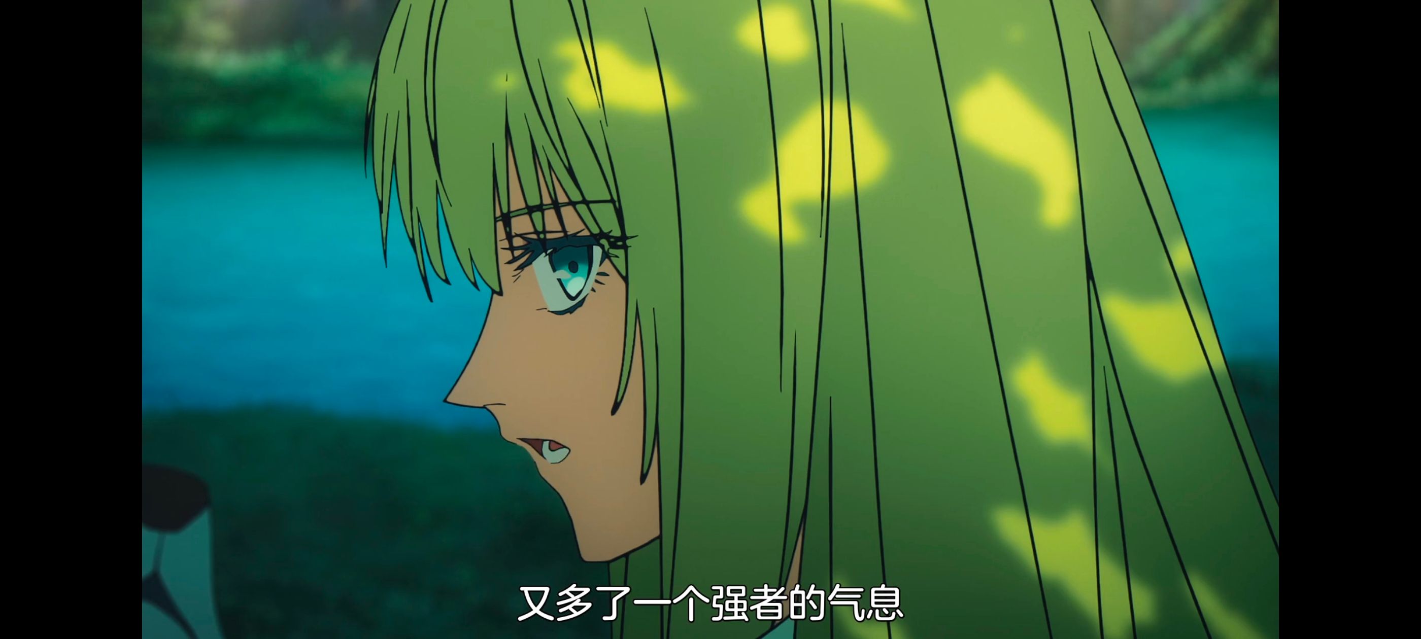 命运奇异赝品,FatestrangeFake,动画,动漫,番剧,ACG