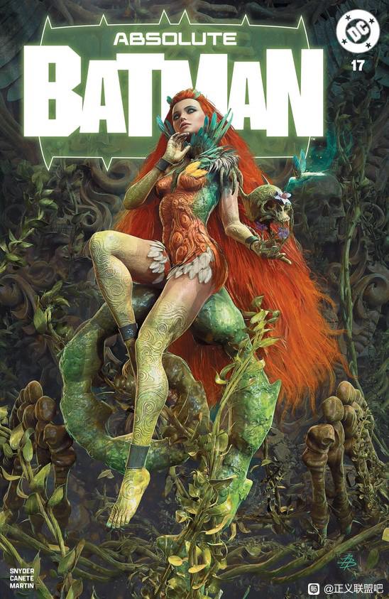 DC,DC漫画,美漫,超级英雄,漫画,动漫,绝对蝙蝠侠,毒藤女,猫女,绘画