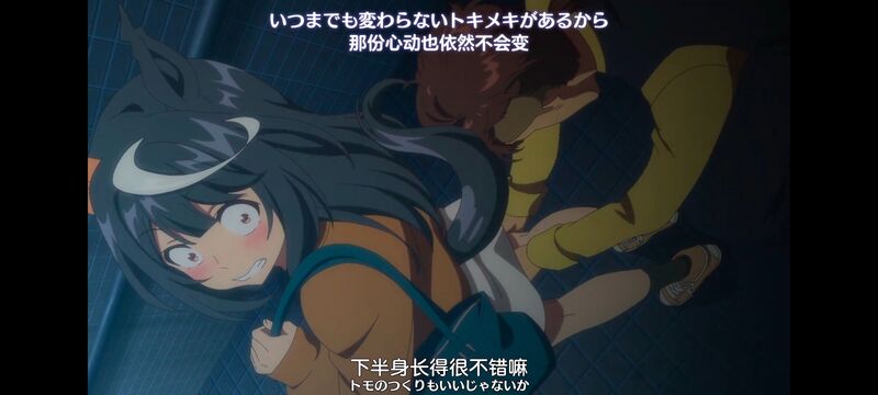 赛马娘,赛马娘PrettyDreby,动画,动漫,番剧,ACG