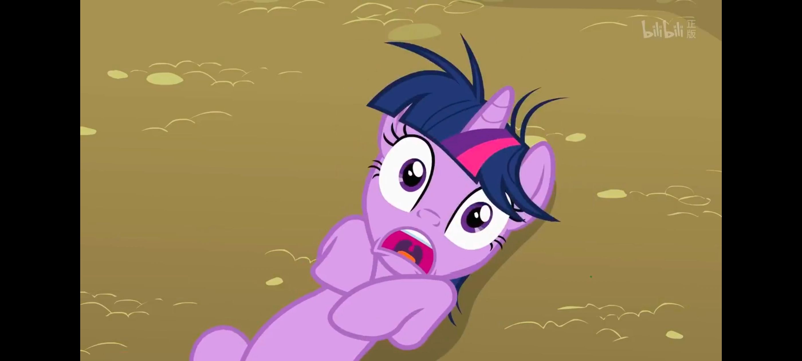 小马宝莉,小马宝莉友谊魔法,彩虹小马,我的小马驹,动画,动漫,番剧,ACG