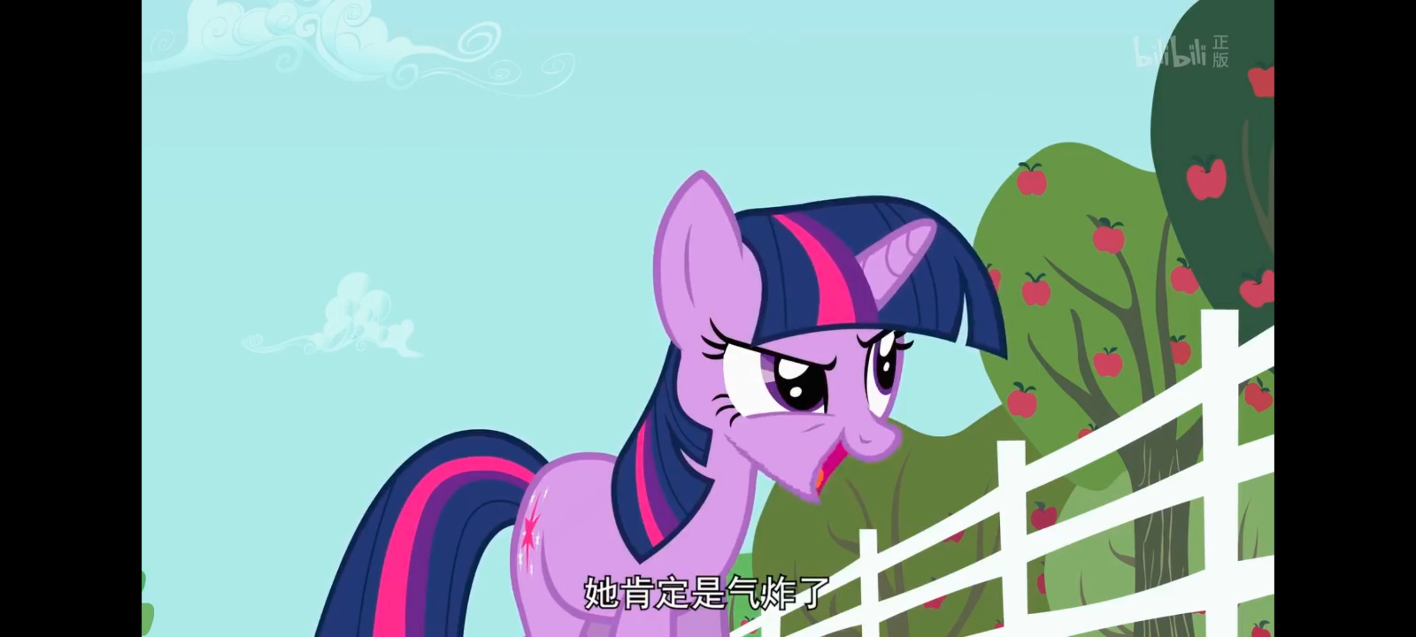 小马宝莉,小马宝莉友谊魔法,彩虹小马,我的小马驹,动画,动漫,番剧,ACG