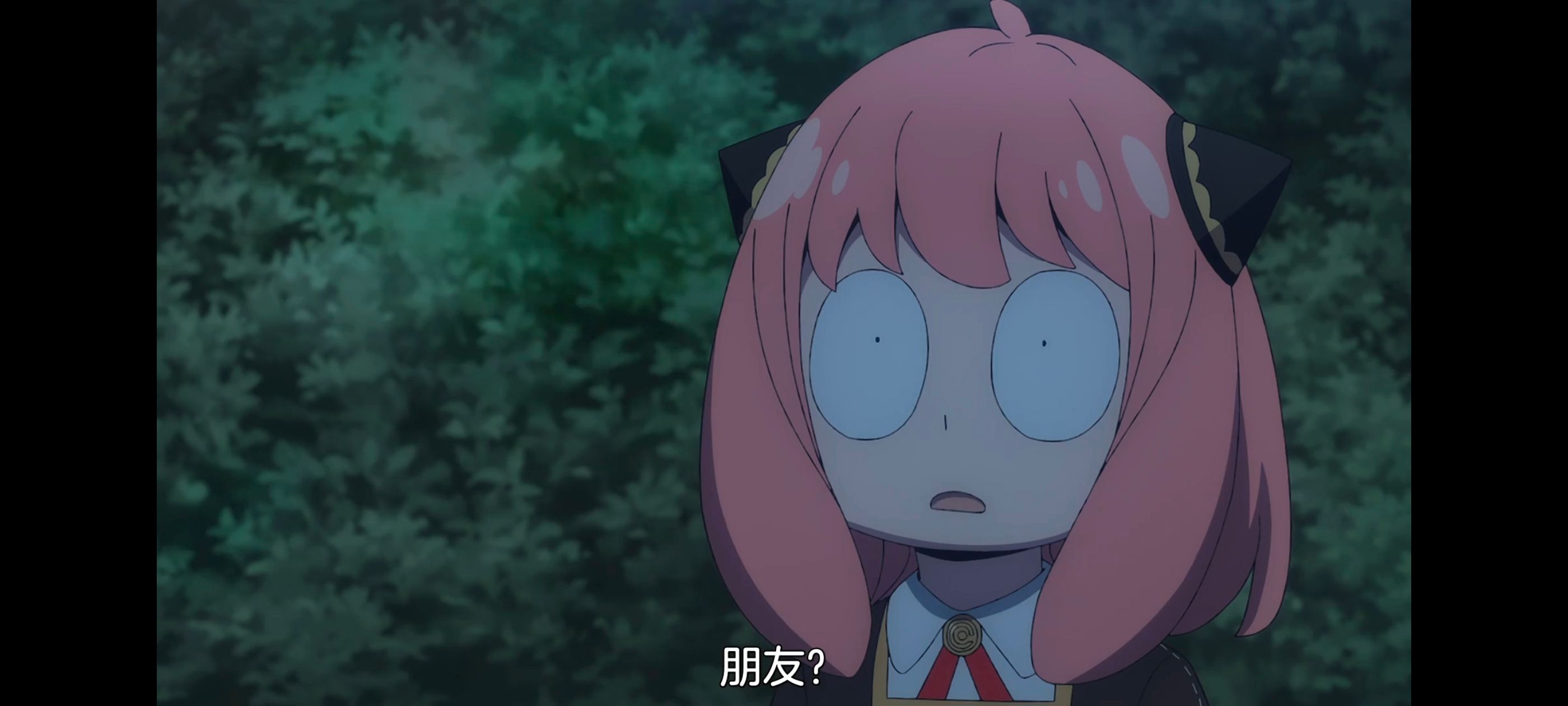 间谍过家家,SPYFAMILY,动画,动漫,番剧,ACG