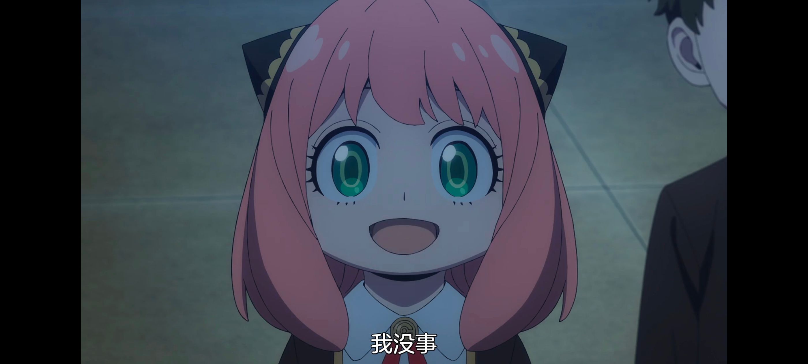 间谍过家家,SPYFAMILY,动画,动漫,番剧,ACG