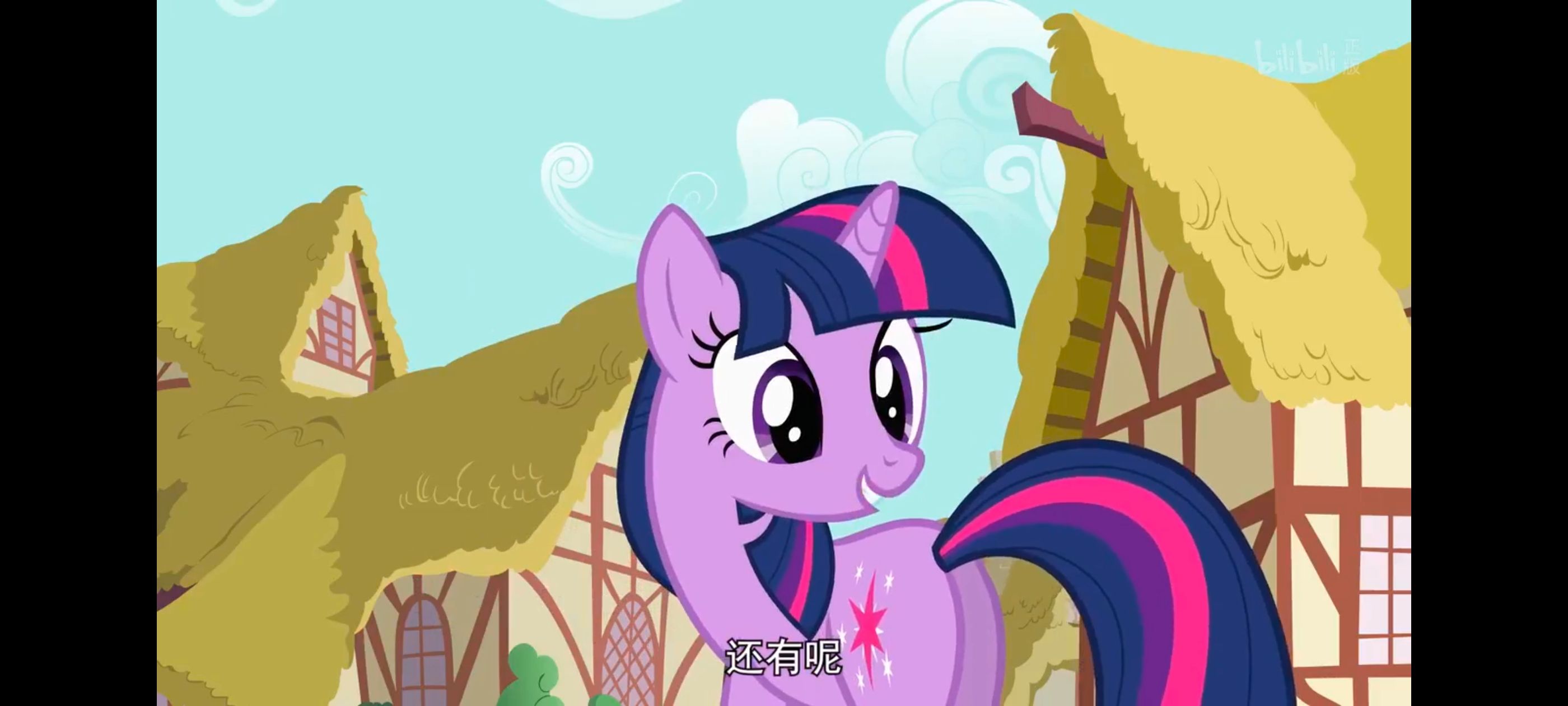 小马宝莉,小马宝莉友谊魔法,彩虹小马,我的小马驹,动画,动漫,番剧,ACG