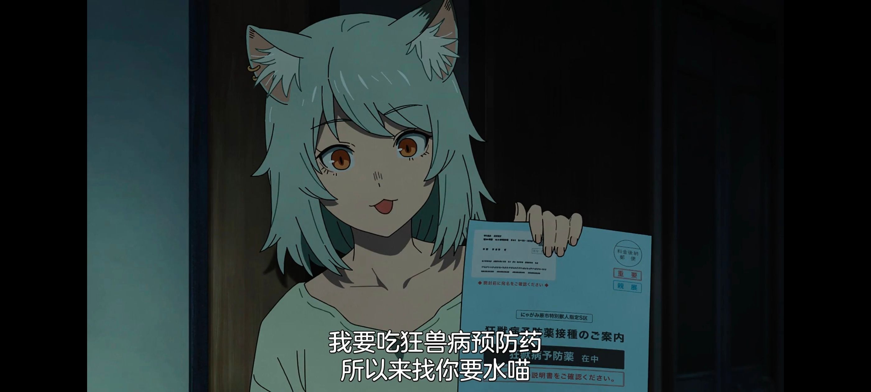 尼古喵喵,雅尼猫,动画,动漫,番剧,二次元,日漫,ACG