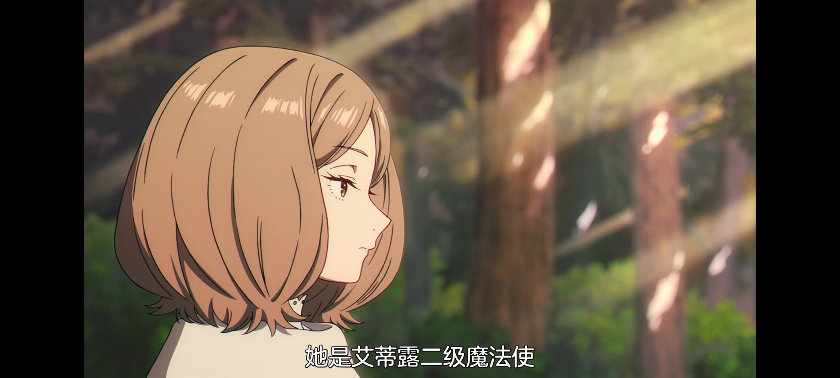 葬送的芙莉莲,动画,动漫,番剧,二次元,ACG