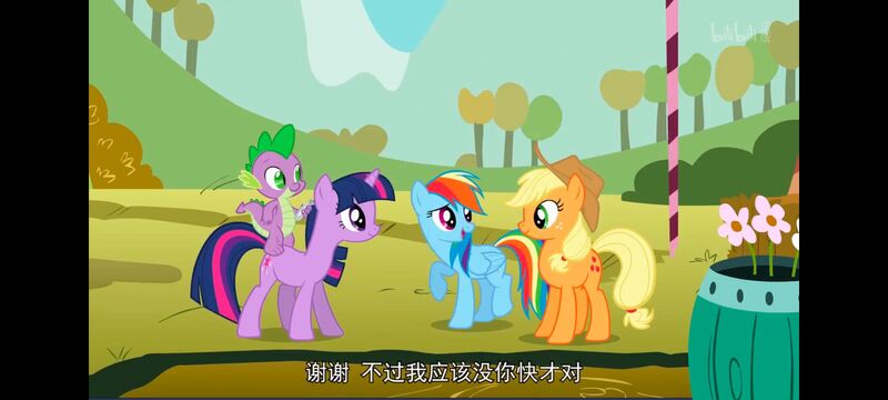 小马宝莉,小马宝莉友谊魔法,彩虹小马,我的小马驹,动画,动漫,番剧,ACG