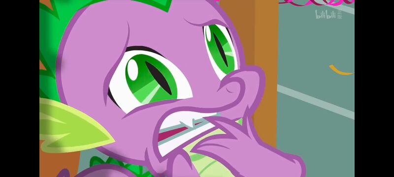 小马宝莉,小马宝莉友谊魔法,彩虹小马,我的小马驹,动画,动漫,番剧,ACG