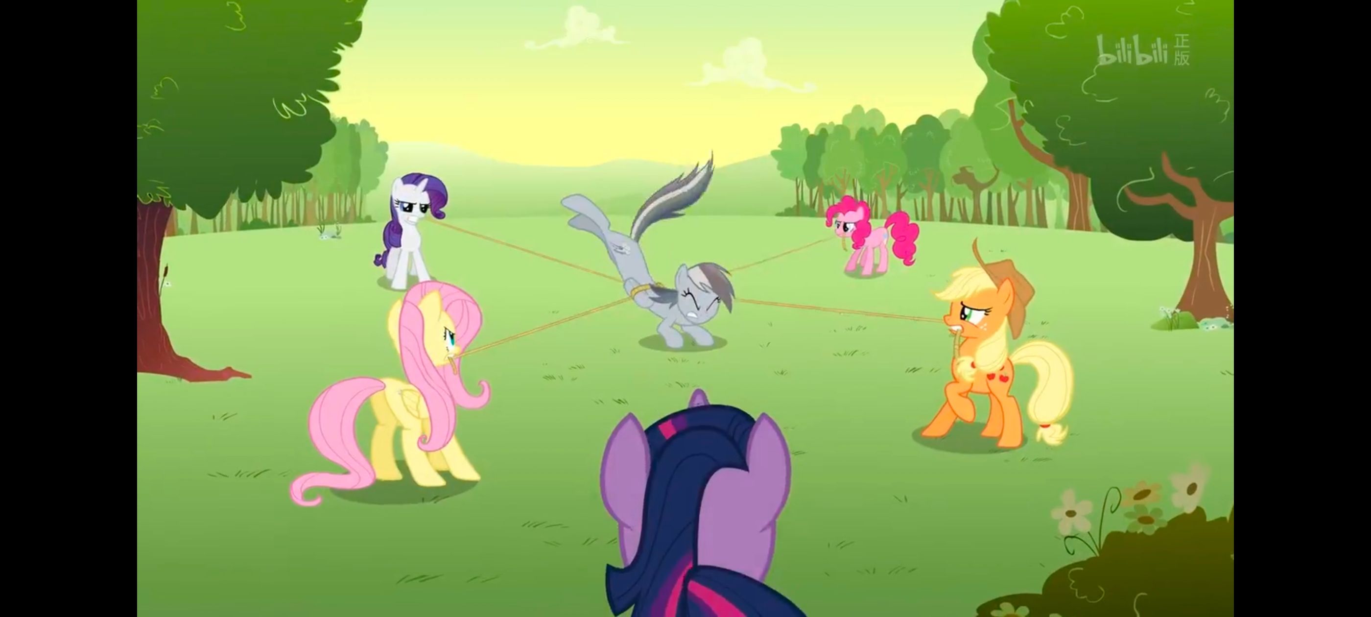 小马宝莉,彩虹小马,我的小马驹,小马宝莉友谊魔法,动漫,动画,番剧,ACG