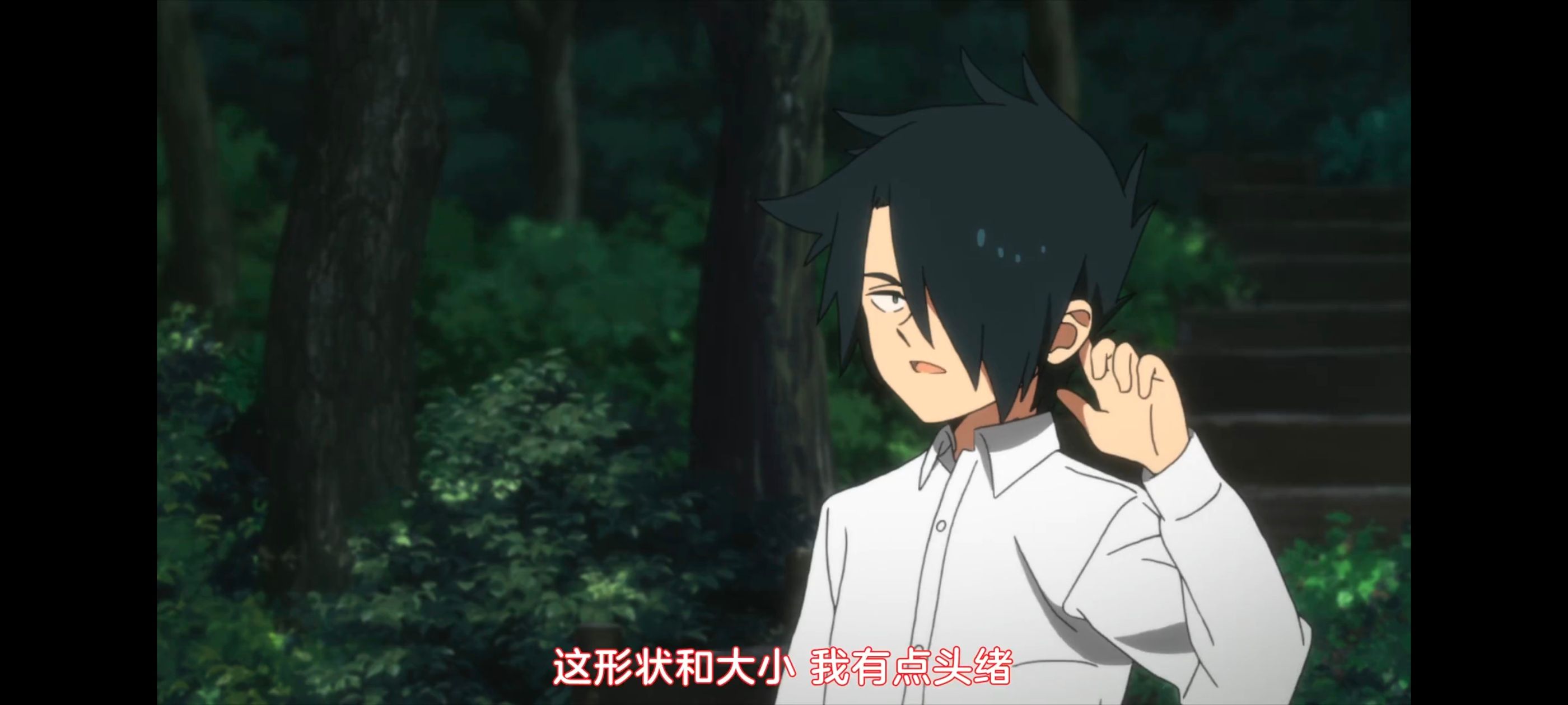 约定的梦幻岛,动画,动漫,番剧,ACG