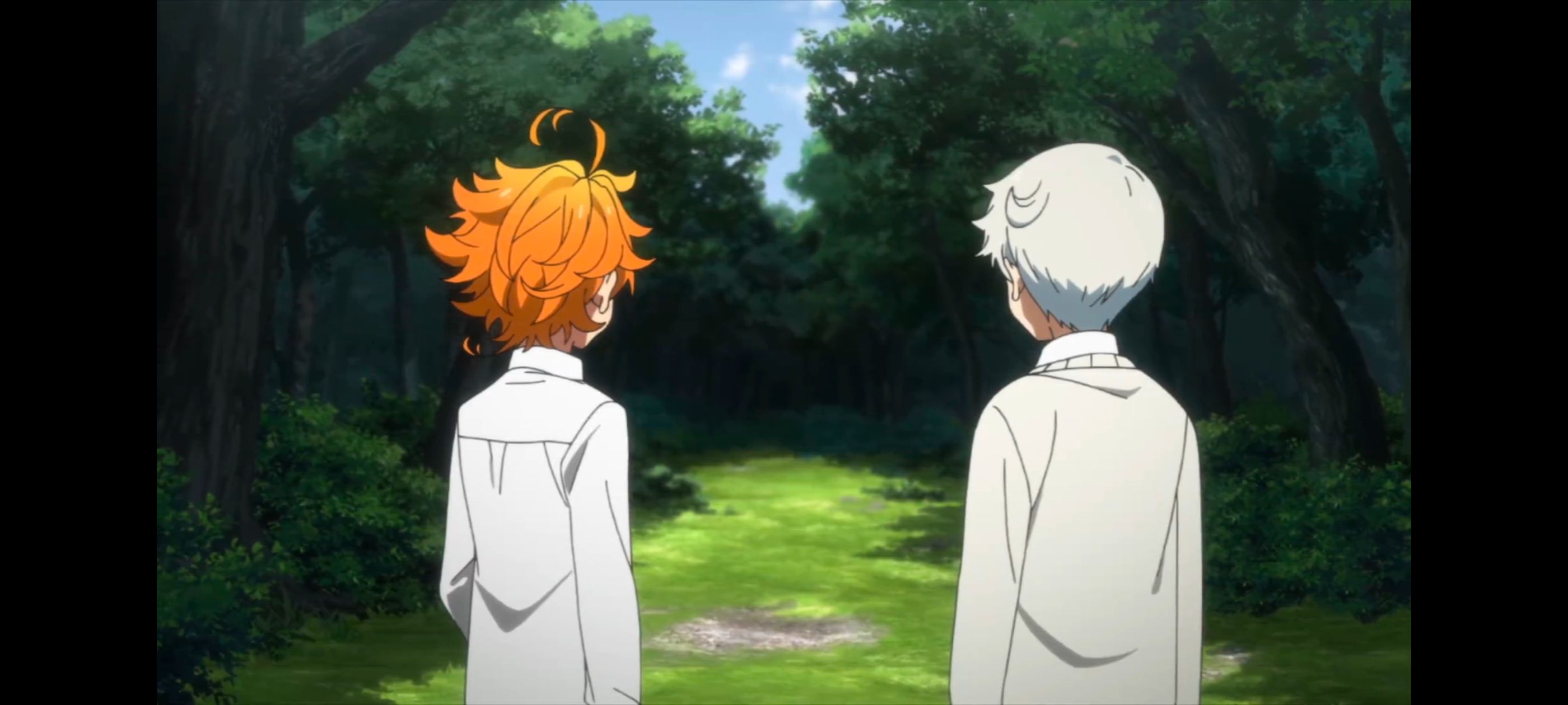 约定的梦幻岛,动画,动漫,番剧,二次元,ACG