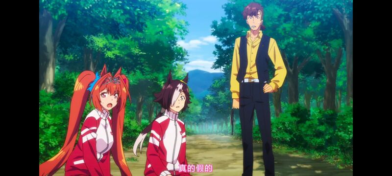 赛马娘,赛马娘PrettyDreby,赛马娘第二季,动画,动漫,番剧,ACG