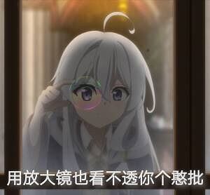 M站美图,表情包,伊蕾娜