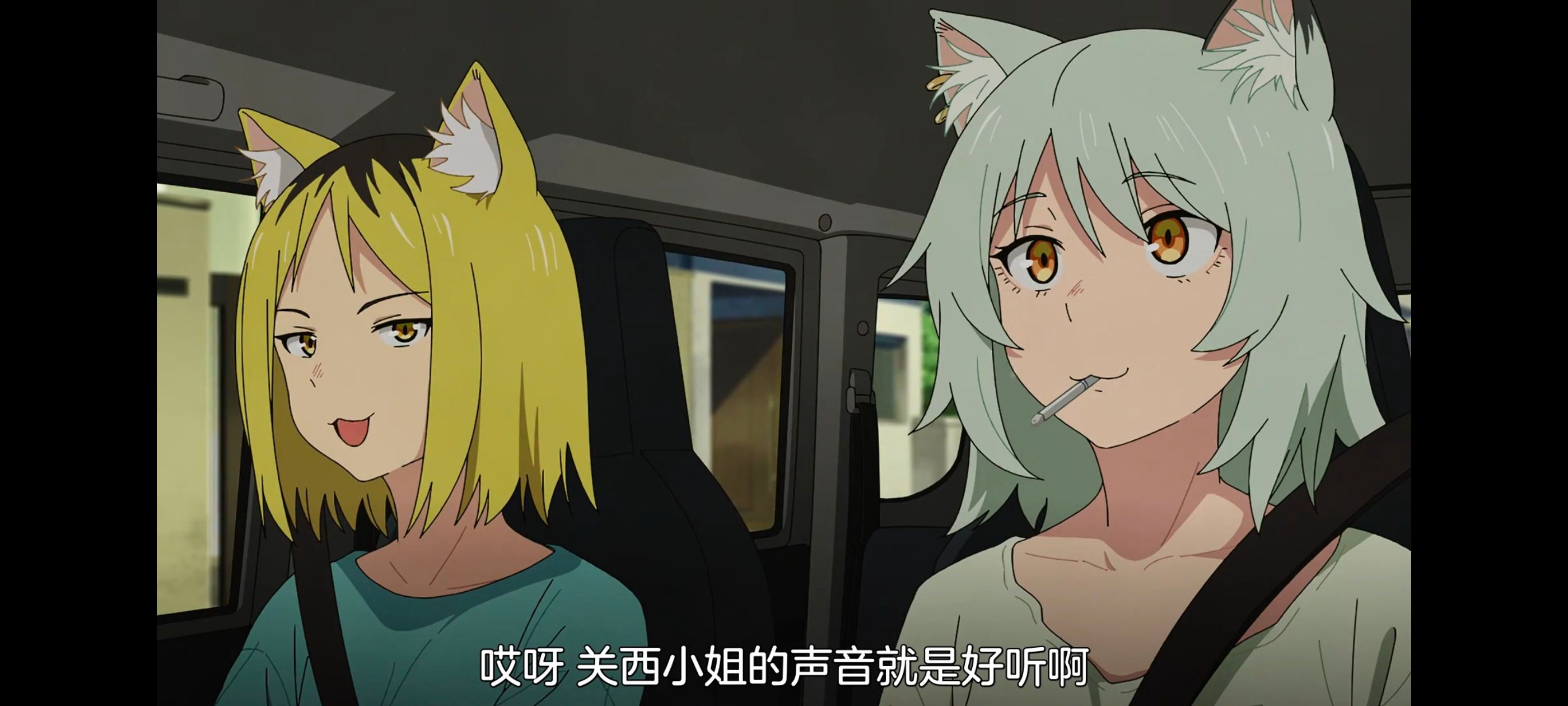 雅尼猫,尼古喵喵,动画,动漫,番剧,日漫,二次元,ACG