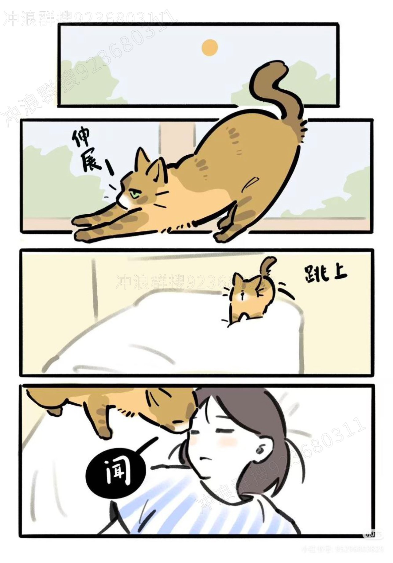猫,故事