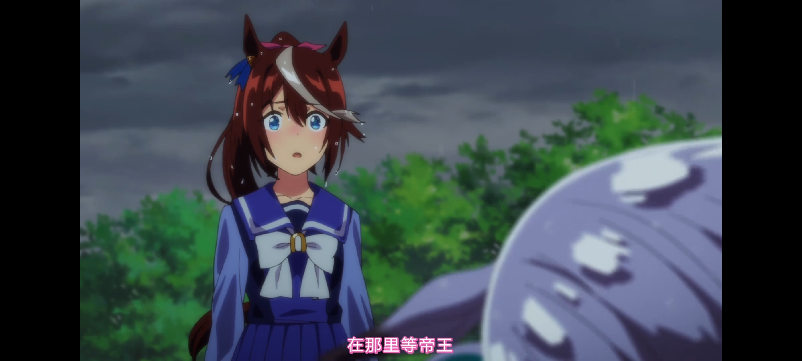 赛马娘,赛马娘第二季,赛马娘PrettyDerby,动画,动漫,番剧,二次元,ACG