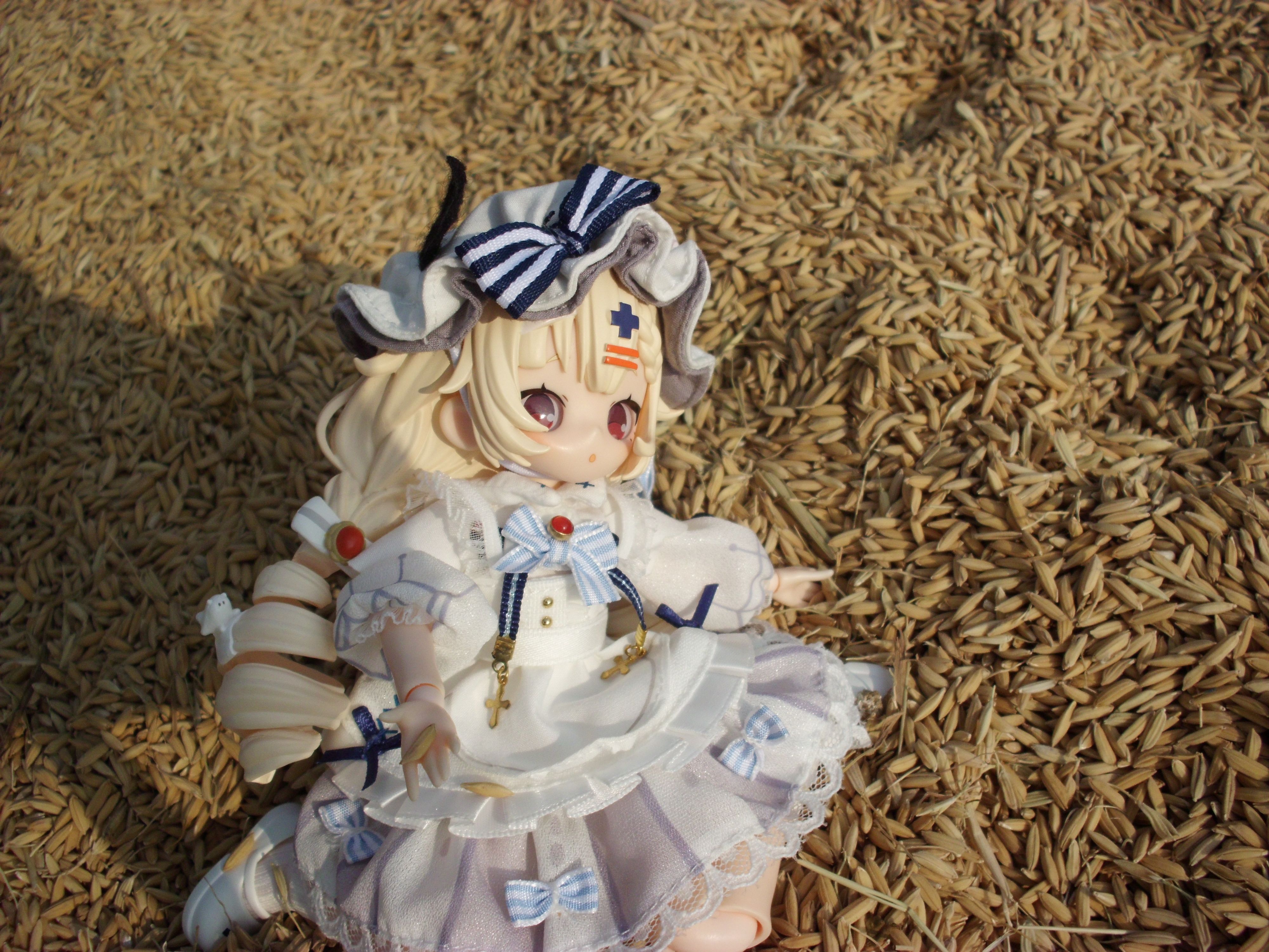 /static/435377ee13f02c762f4424a9a35ac80cf199920554f234a2b2cd8f19c62f95c2.jpg