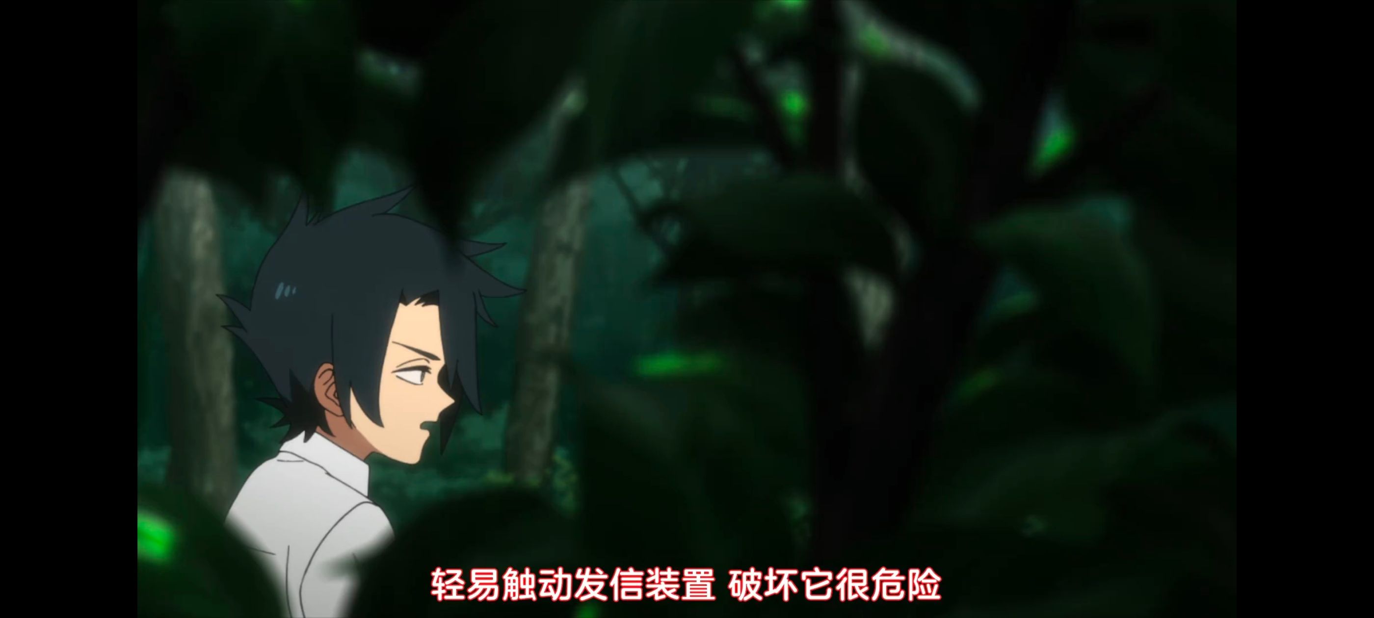 约定的梦幻岛,动画,动漫,番剧,ACG