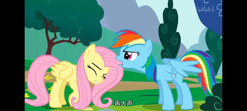 小马宝莉,小马宝莉友谊魔法,彩虹小马,我的小马驹,动画,动漫,番剧,ACG