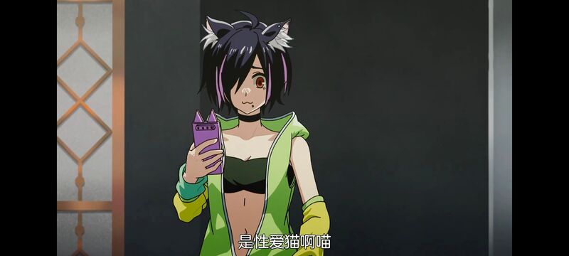 尼古喵喵,雅尼猫,动画,动漫,番剧,二次元,日漫,ACG