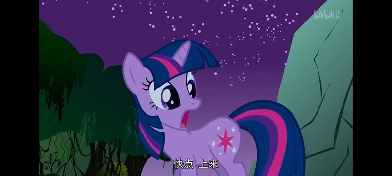 小马宝莉,彩虹小马,我的小马驹,动画,动漫,番剧,ACG,小马宝莉友谊魔法