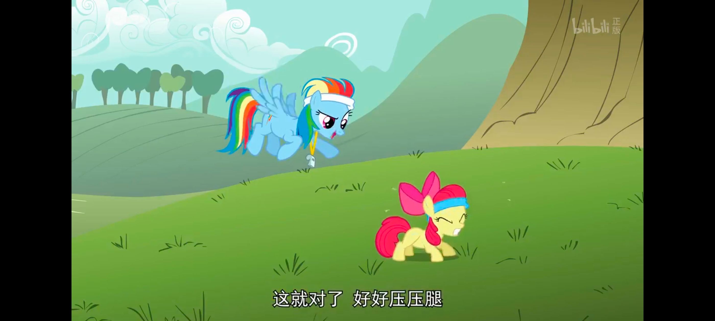 小马宝莉,小马宝莉友谊魔法,彩虹小马,我的小马驹,动画,动漫,番剧,ACG