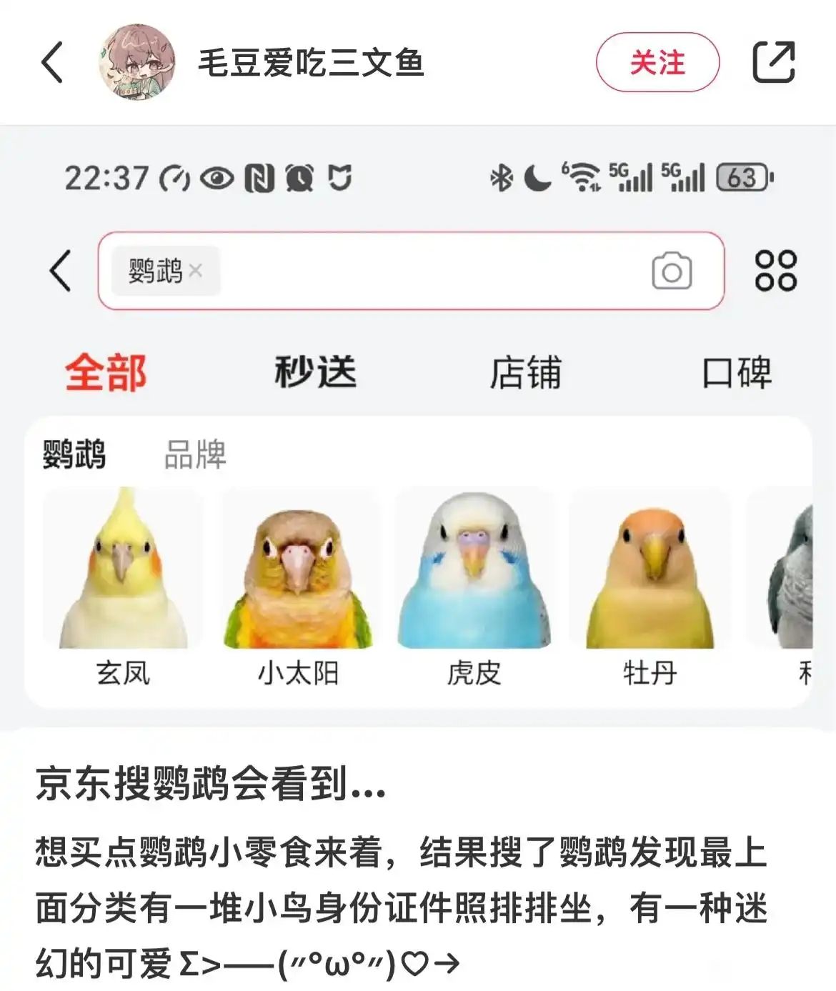 /static/43d4bfac1858ede3ded535b2054c99fce40120478f80e6f6f187ce4d05fe6a76.jpg