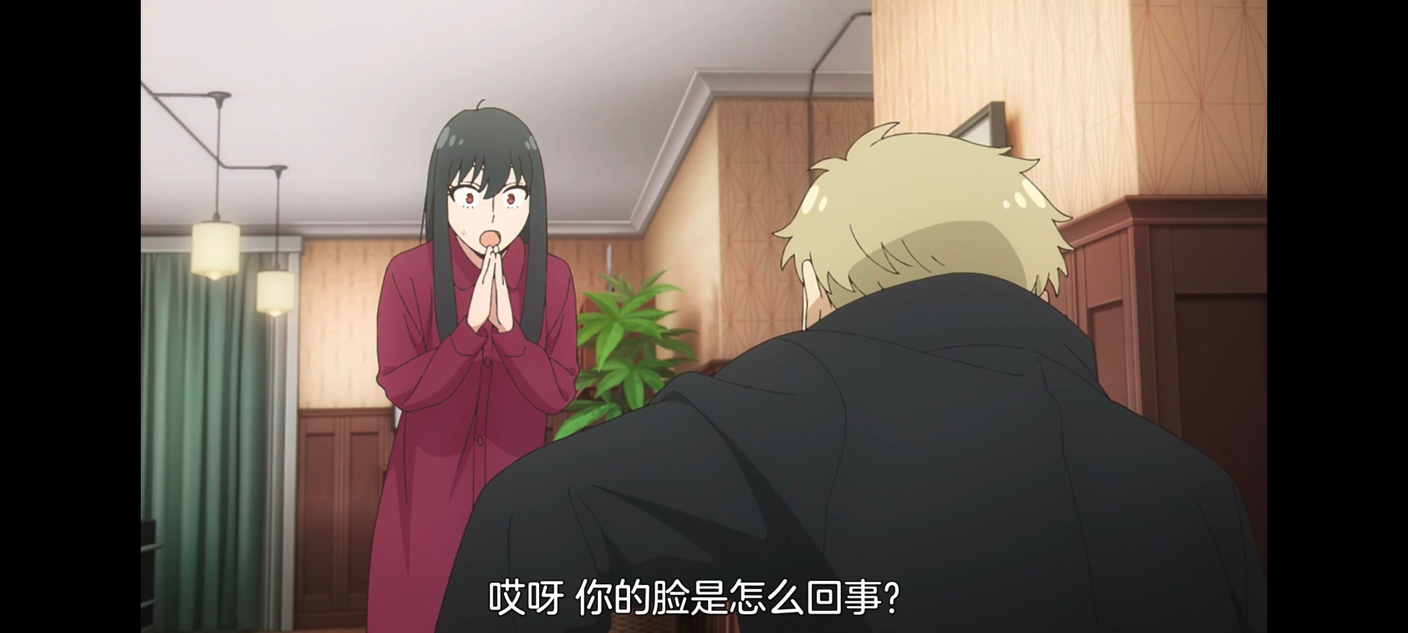 间谍过家家,SPYFAMILY,动画,动漫,番剧,ACG