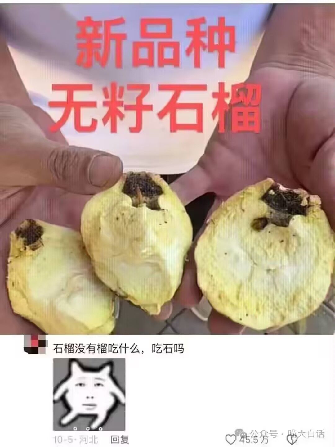 弔图,meme,迷因,涩图