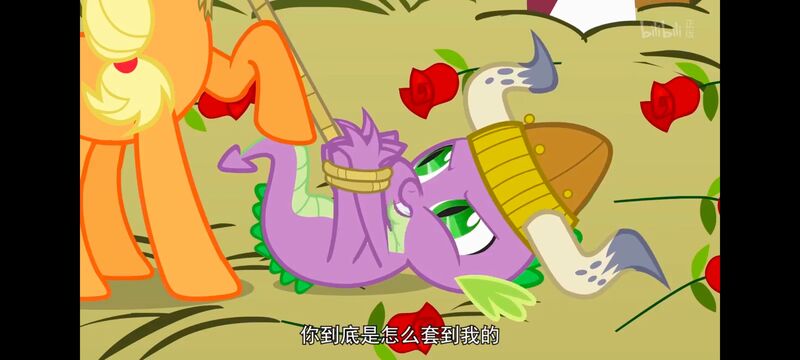 小马宝莉,小马宝莉友谊魔法,彩虹小马,我的小马驹,动画,动漫,番剧,ACG