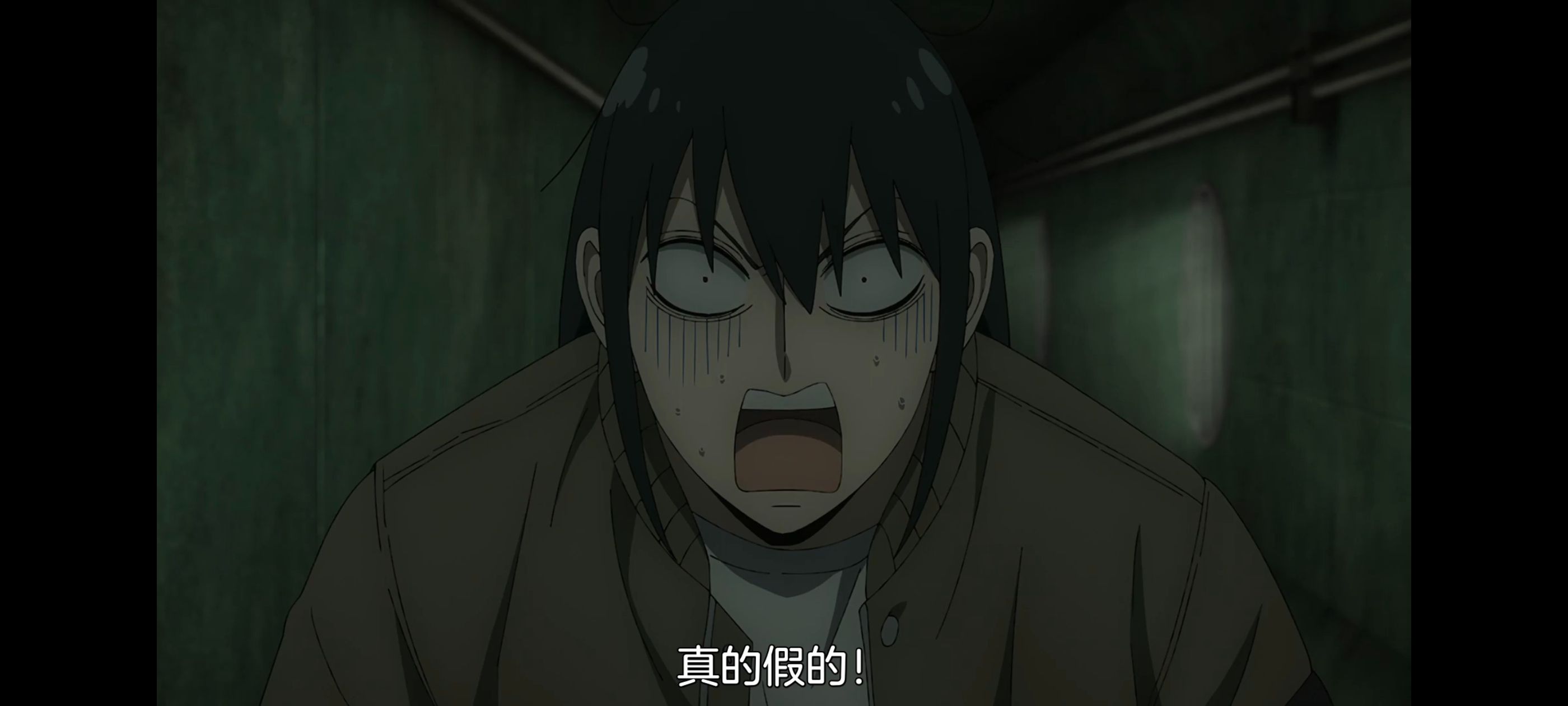 间谍过家家,SPYFAMILY,动画,动漫,番剧,ACG