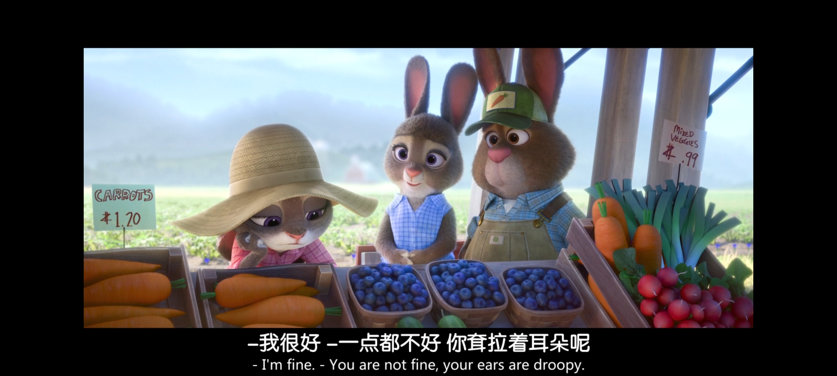 疯狂动物城,动画电影,动漫,动画,电影,二次元,ACG