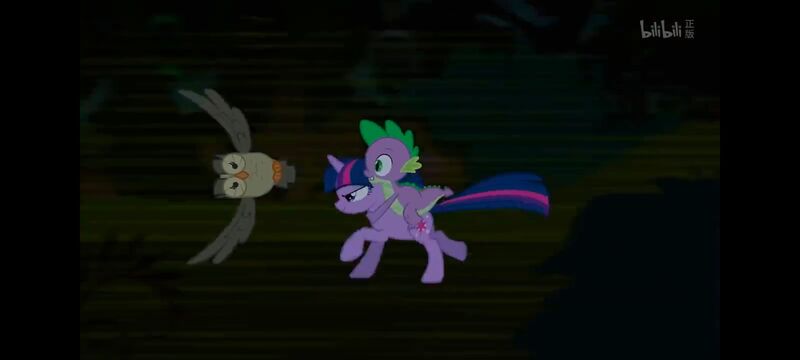 小马宝莉,彩虹小马,我的小马驹,动画,动漫,番剧,ACG,小马宝莉友谊魔法