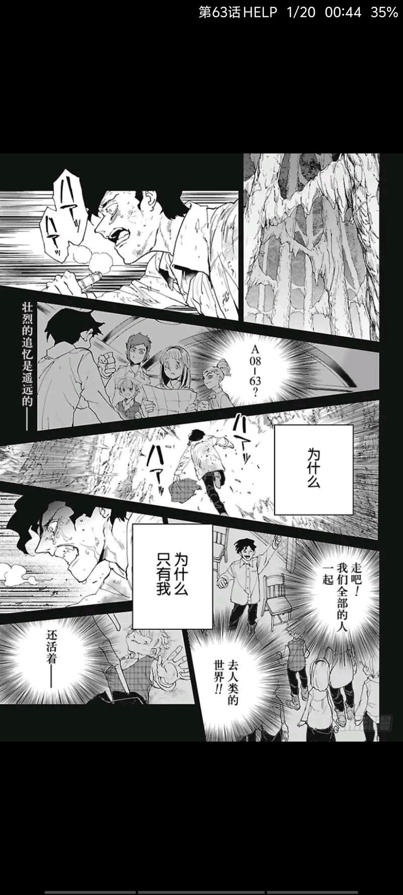 约定的梦幻岛,动漫,漫画,ACG