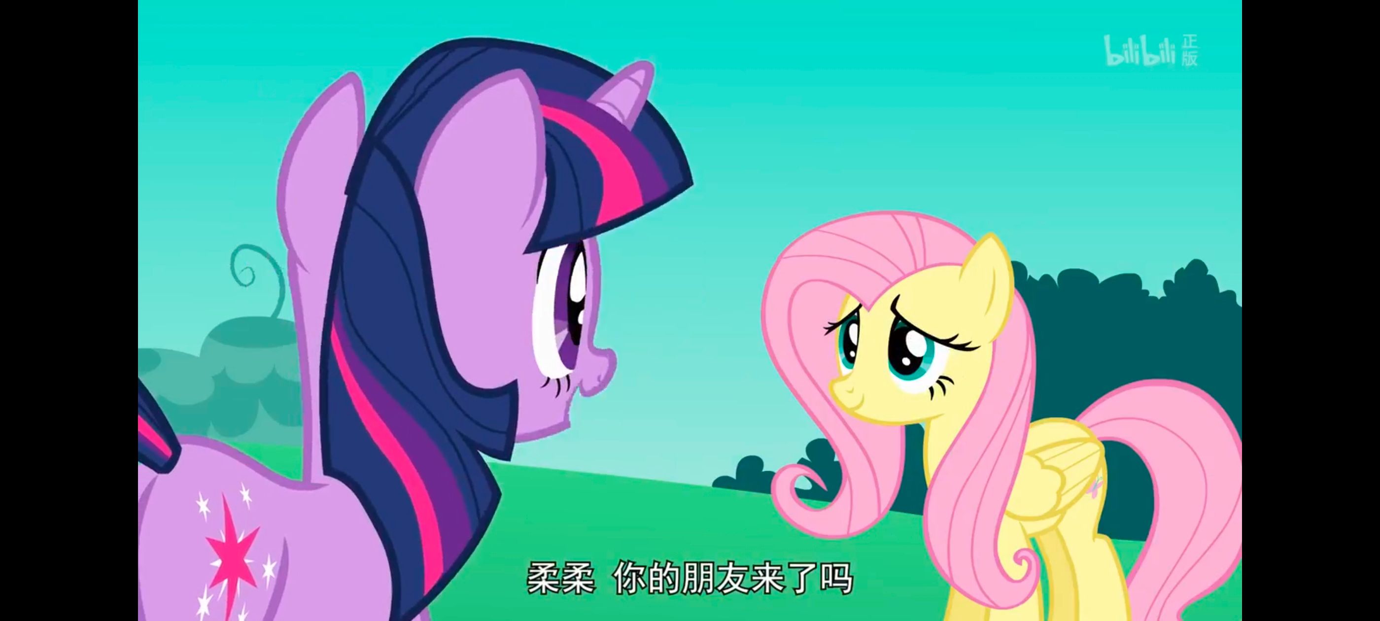 小马宝莉,小马宝莉友谊魔法,彩虹小马,我的小马驹,动画,动漫,番剧,ACG