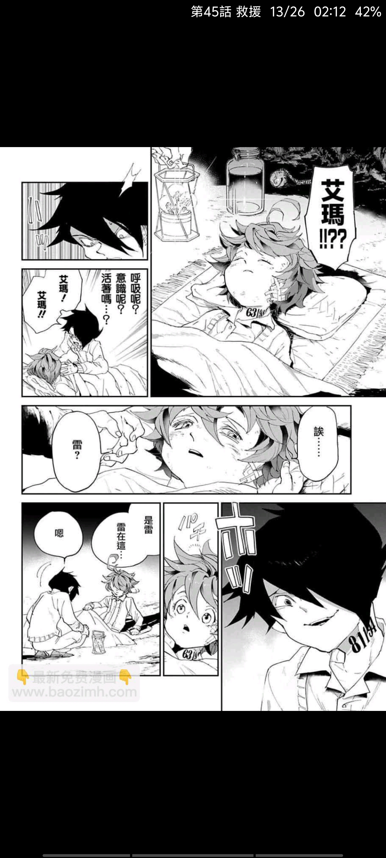 约定的梦幻岛,漫画,动漫,ACG