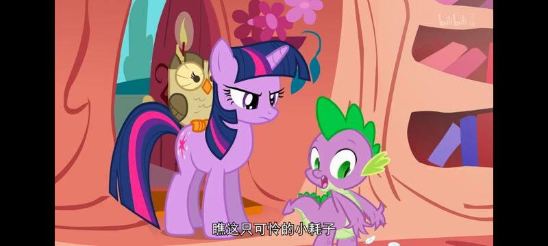 小马宝莉,彩虹小马,我的小马驹,动画,动漫,番剧,ACG,小马宝莉友谊魔法