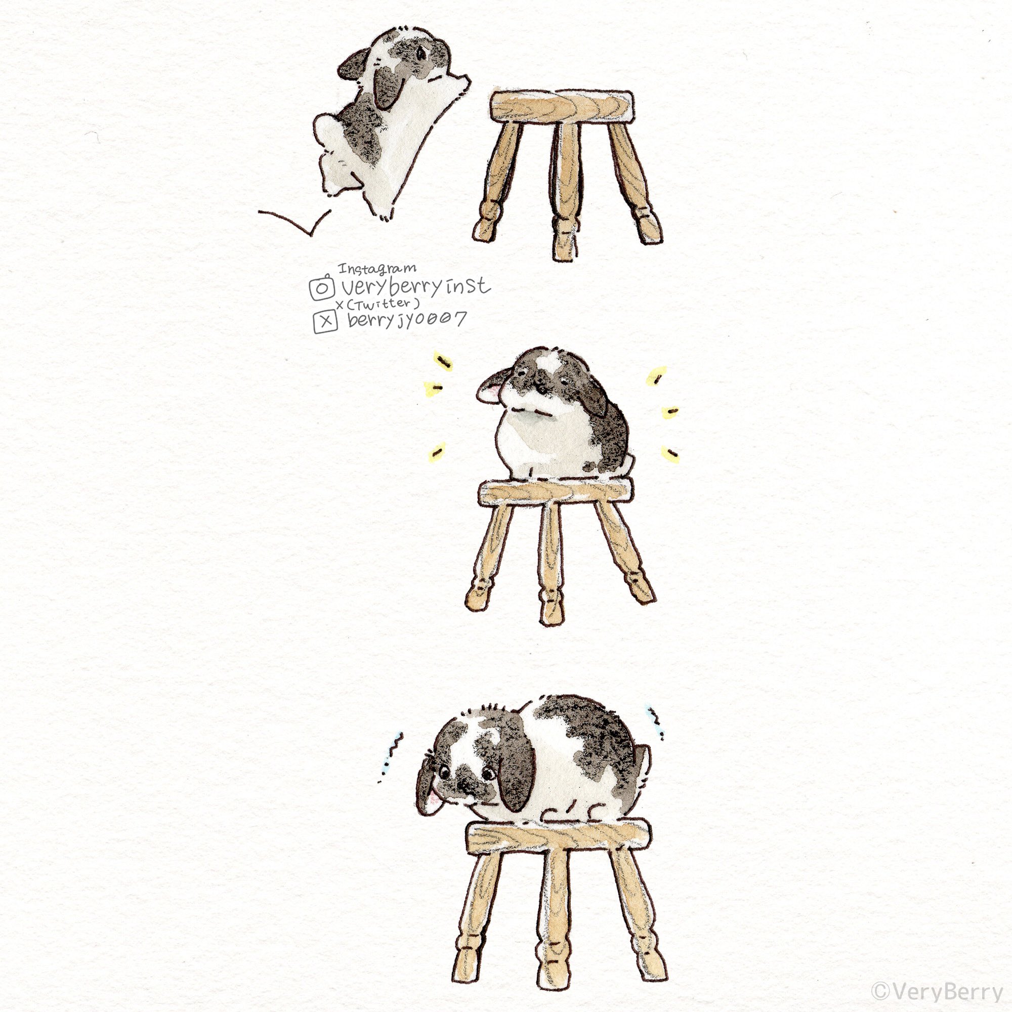 pixiv,萌宠,兔子,漫画