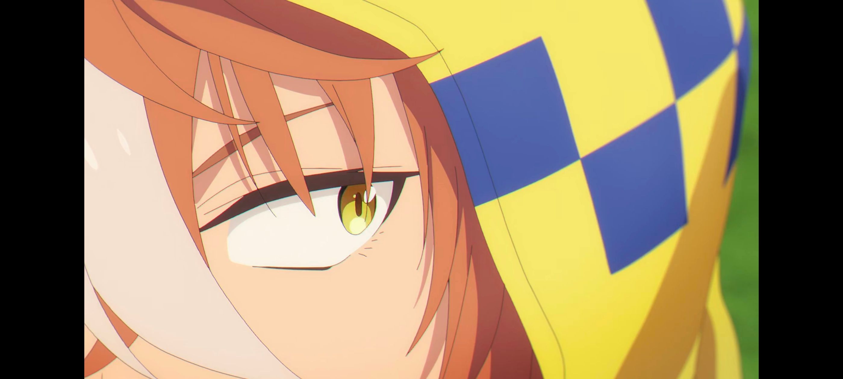 赛马娘,赛马娘PrettyDreby,赛马娘芦毛灰姑娘,芦毛灰姑娘,动画,动漫,番剧,ACG