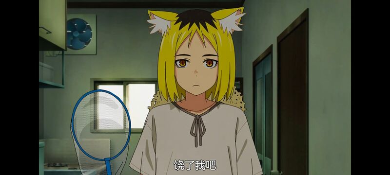 尼古喵喵,雅尼猫,动画,动漫,番剧,日漫,二次元,ACG