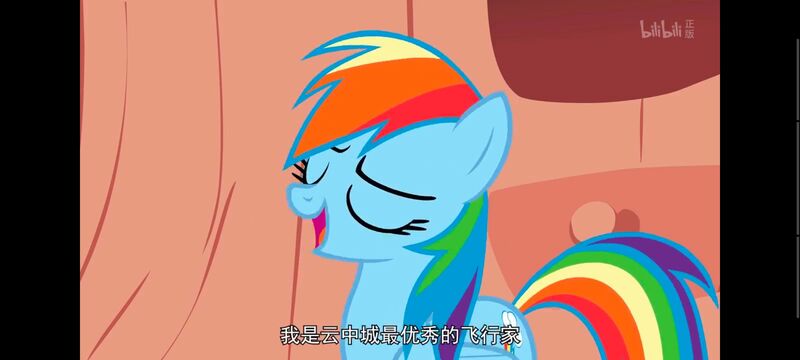 小马宝莉,小马宝莉友谊魔法,彩虹小马,我的小马驹,动画,动漫,番剧,ACG