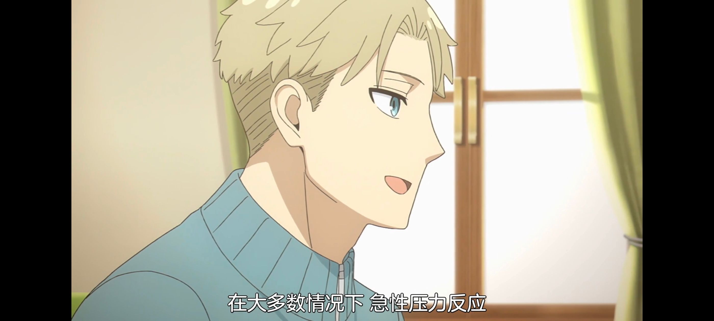 间谍过家家,SPYFAMILY,动画,动漫,番剧