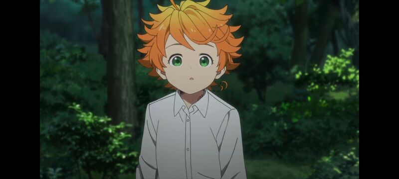 约定的梦幻岛,动画,动漫,番剧,ACG