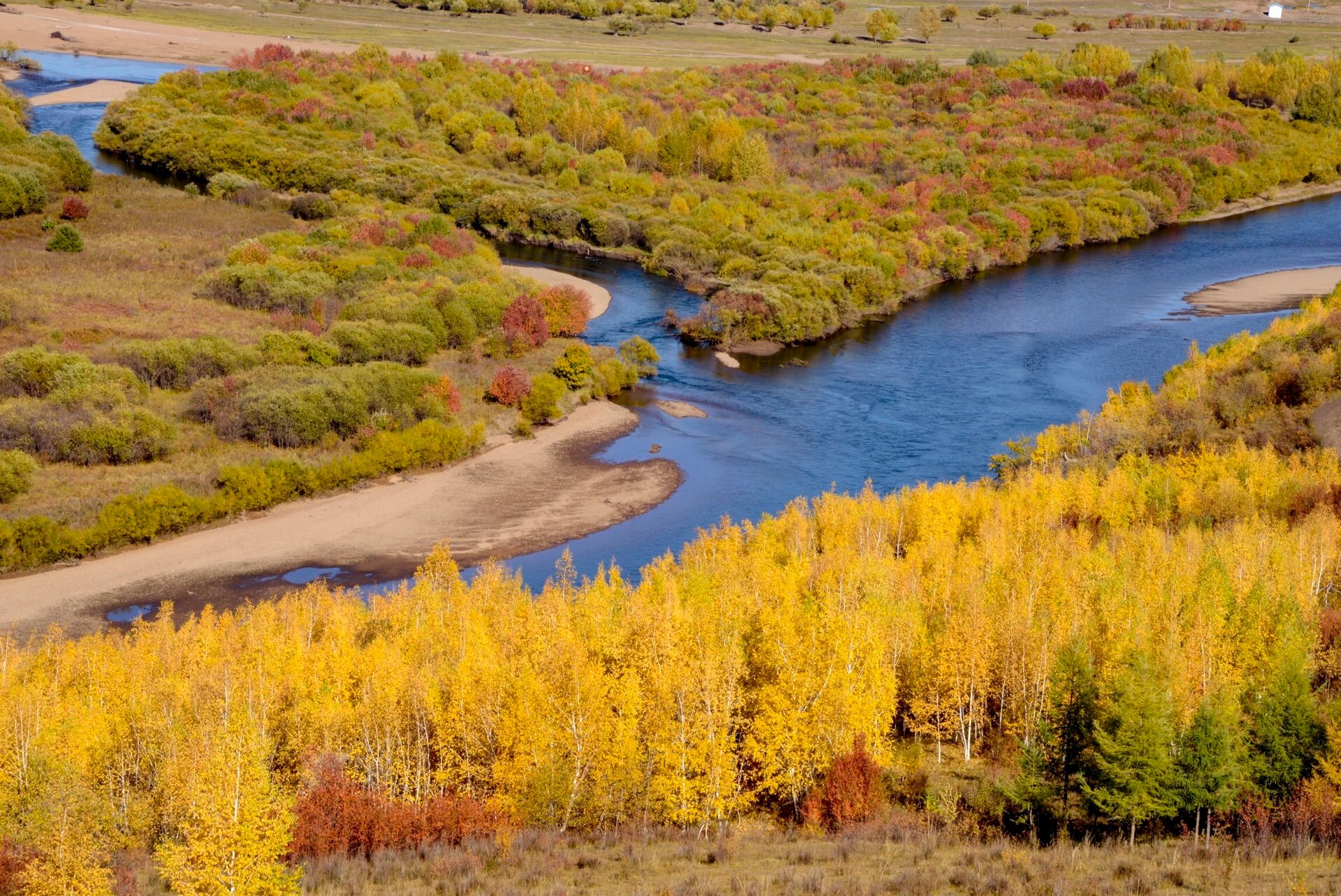 迟子建,额尔古纳河右岸,书评,鄂温克族