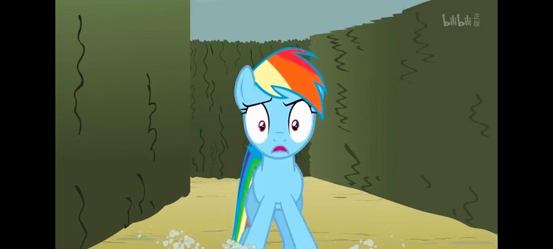 小马宝莉,小马宝莉友谊魔法,彩虹小马,我的小马驹,动画,动漫,番剧,ACG