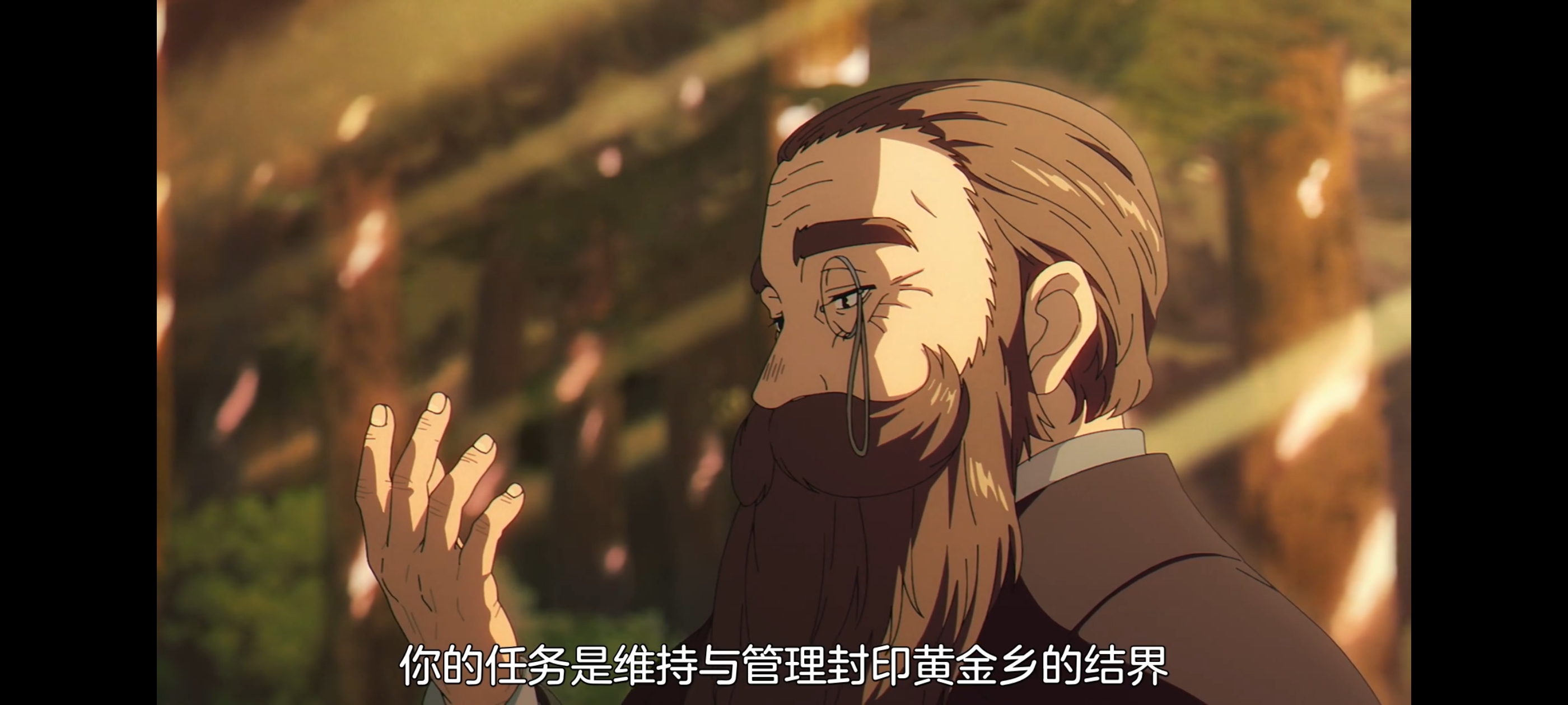 葬送的芙莉莲,动画,动漫,番剧,二次元,ACG