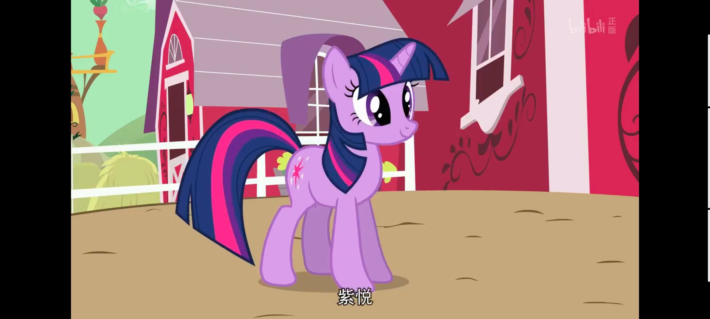 小马宝莉,彩虹小马,我的小马驹,小马宝莉友谊魔法,动漫,动画,番剧,ACG